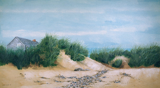 Cottage and Dunes